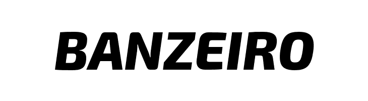 Exo 2.0 Extra Bold Italic  Free Fonts Download