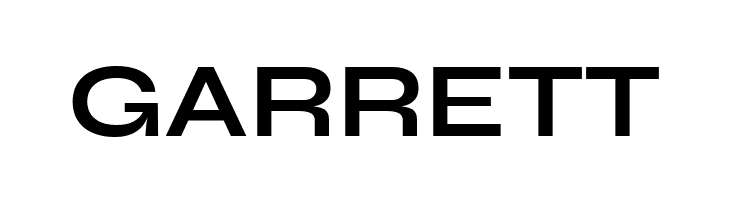 Syne Bold  Free Fonts Download