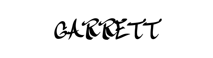 CalliGravity  Free Fonts Download