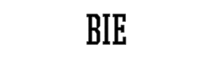 PROMESH Stitch Regular  Free Fonts Download