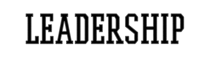 PROMESH Stitch Regular  Free Fonts Download