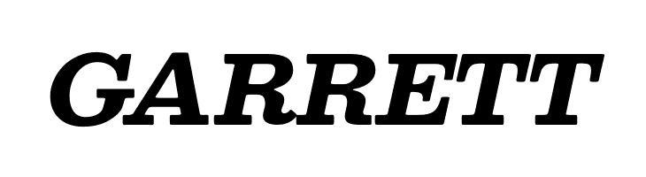 Besley* Bold Italic  Free Fonts Download