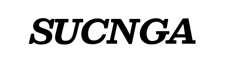 Besley* Bold Italic  Free Fonts Download