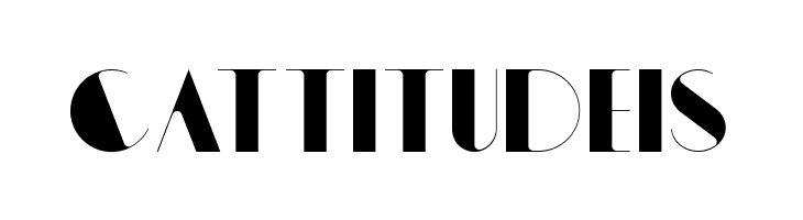 Regular  Free Fonts Download