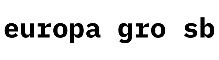 iA Writer Duospace Bold  Free Fonts Download