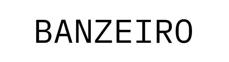 iA Writer Duospace Regular  Free Fonts Download