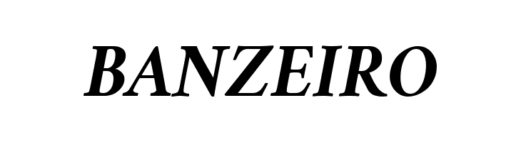 Crimson Bold Italic  Free Fonts Download