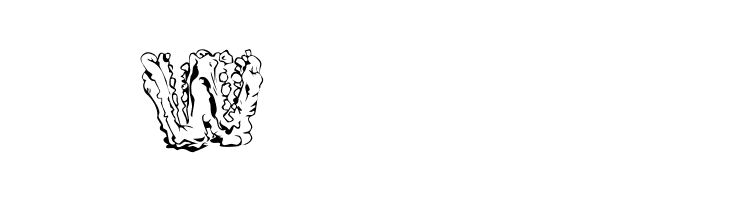 Riot Act  Free Fonts Download