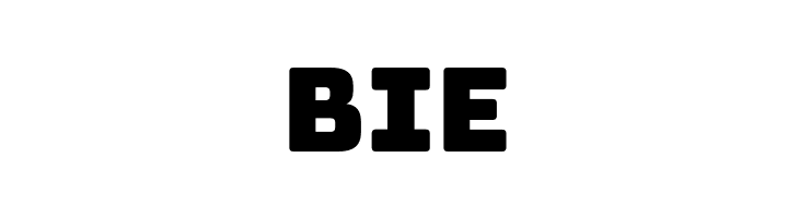 Bungee Regular Regular  Free Fonts Download