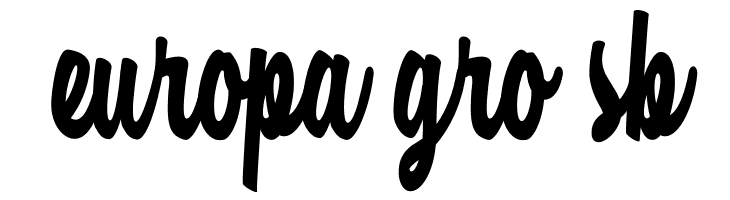Casual Chance Personal Use   Free Fonts Download