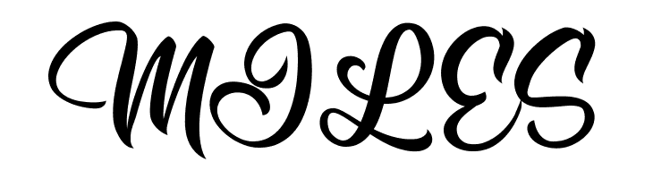 Allessa Personal Use   Free Fonts Download