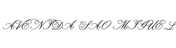 Formal Script Medium  Free Fonts Download