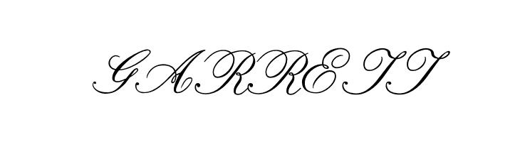 Formal Script Medium  Free Fonts Download