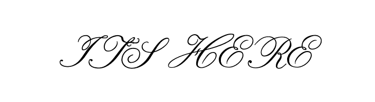 Formal Script Medium  Free Fonts Download