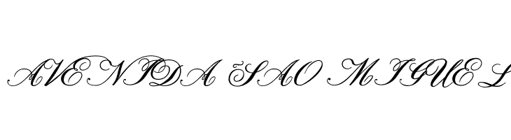 Formal Script Bold  Free Fonts Download