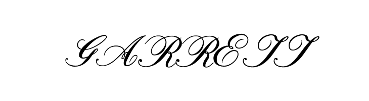 Formal Script Bold  Free Fonts Download