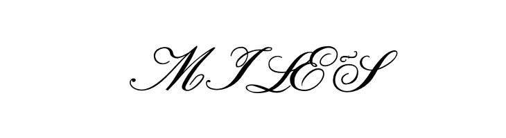 Formal Script Bold  Free Fonts Download