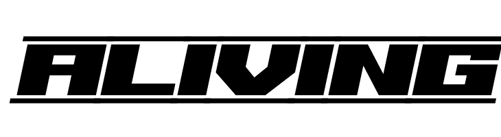 62DRAGZ  Free Fonts Download