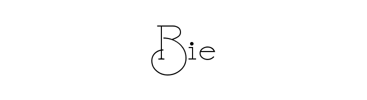 CalamityJaneNF  Free Fonts Download