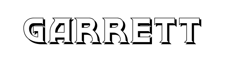 BrownwoodNFShadow  Free Fonts Download