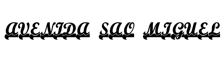 TeamSpiritNF  Free Fonts Download