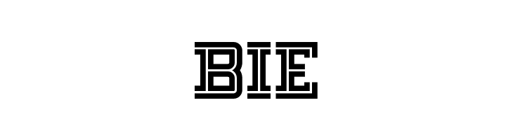 FargoFaroNF  Free Fonts Download
