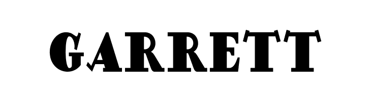 DingDongDaddyoNF  Free Fonts Download