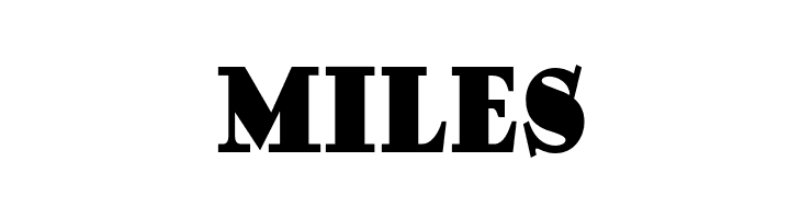 DingDongDaddyoNF  Free Fonts Download