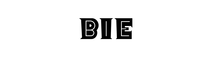 OrionRadioNF  Free Fonts Download