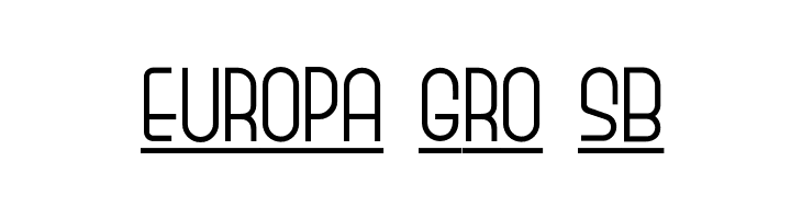 MonicasSalonNF  Free Fonts Download