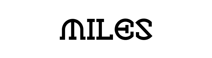 VlaanderenSquareNF  Free Fonts Download