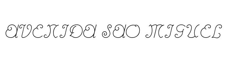 RhumbaScriptNF  Free Fonts Download