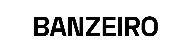 Space Grotesk Bold  Free Fonts Download