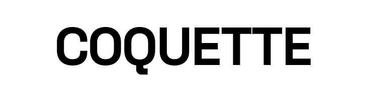 Space Grotesk Bold  Free Fonts Download