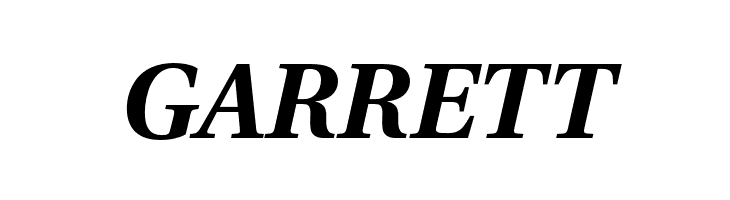 LinguisticsPro-BoldItalic  Free Fonts Download