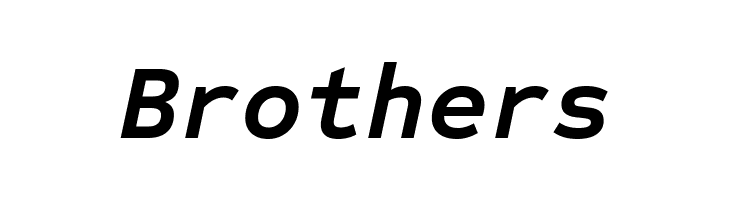 Sometype Mono Bold Italic  Free Fonts Download