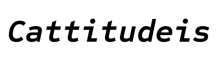 Sometype Mono Bold Italic  Free Fonts Download