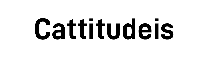 D-DIN Bold  Free Fonts Download