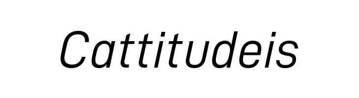 D-DIN Italic  Free Fonts Download