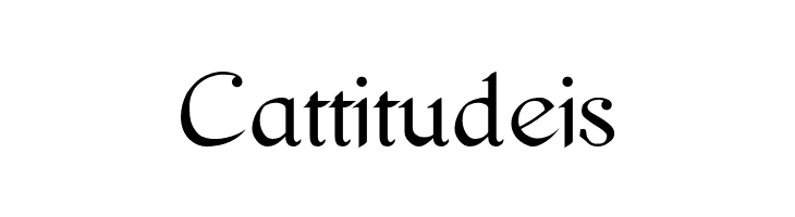 Pierce Roman  Free Fonts Download