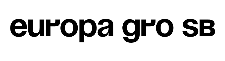 Soyuz Grotesk Bold  Free Fonts Download