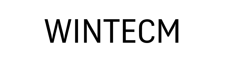 FengardoNeue  Free Fonts Download