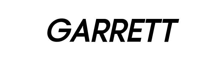 Typo Gotika Demo Bold Italic  Free Fonts Download