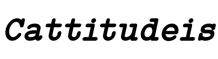 Typo Writer Demo Bold Italic  Free Fonts Download