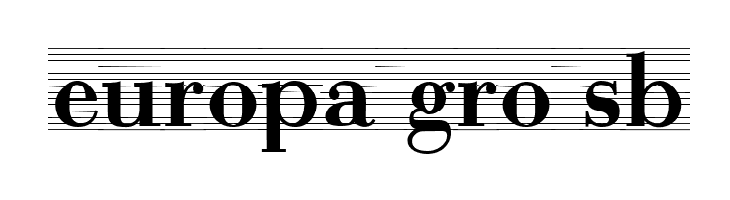 Bodonio Notebook Regular  Free Fonts Download