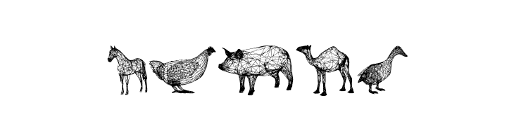 3D Animals Regular  Free Fonts Download