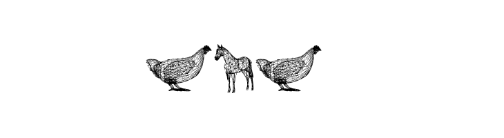 3D Animals Regular  Free Fonts Download