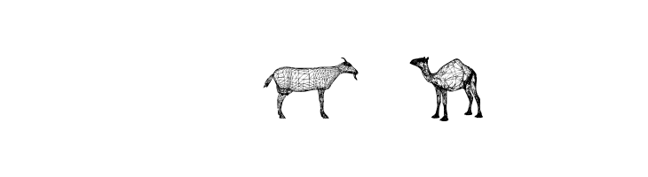 3D Animals Regular  Free Fonts Download