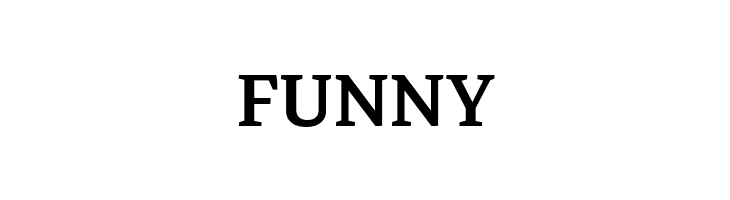 Markazi Text Medium  Free Fonts Download