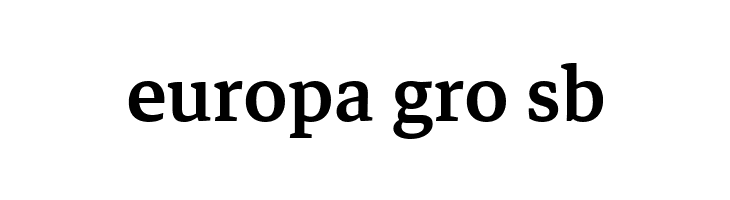 Markazi Text Medium  Free Fonts Download